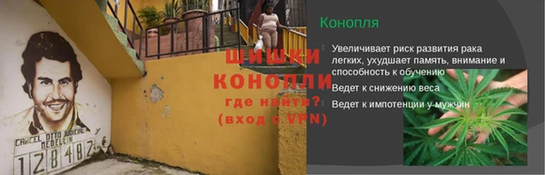 PSILOCYBIN Абаза
