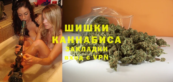 PSILOCYBIN Абаза