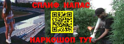 хмурый Малгобек