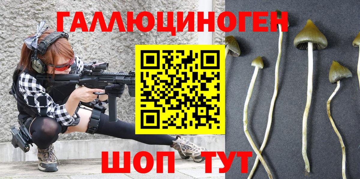 Галлюциногенные грибы мицелий Ковров